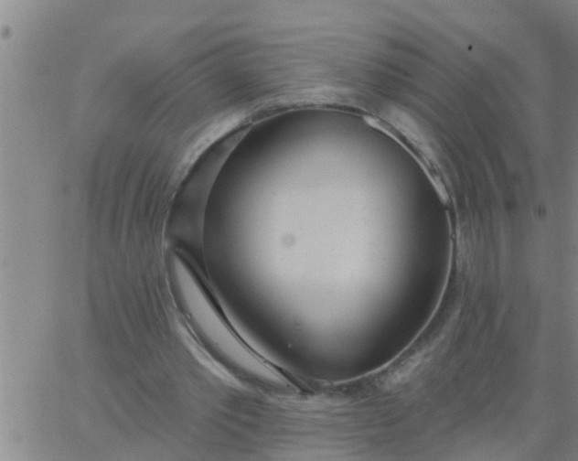 X0000062840389200601272021