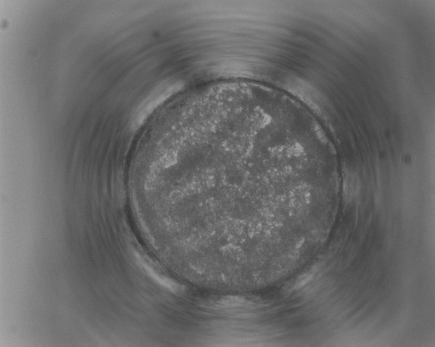 X0000062840390200601272021