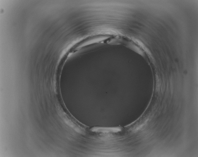 X0000062840391200601272021