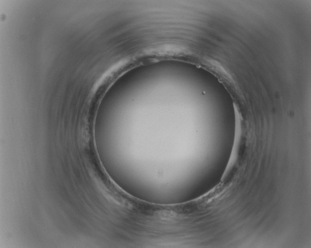 X0000062840392200601272021