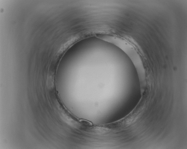 X0000062840393200601272021