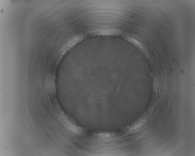 X0000062840394200601272021