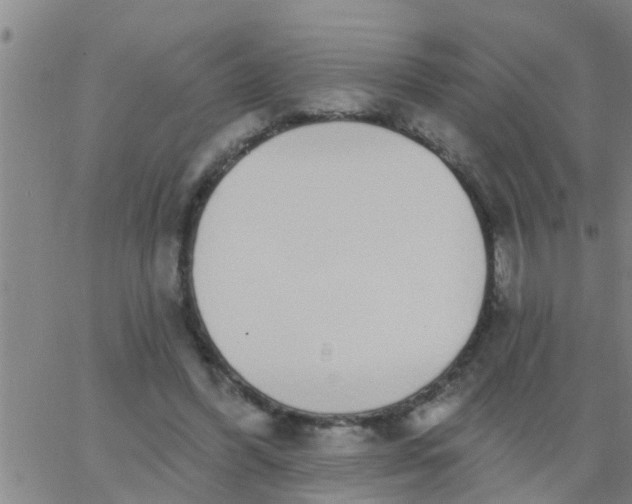 X0000062840396200601272021