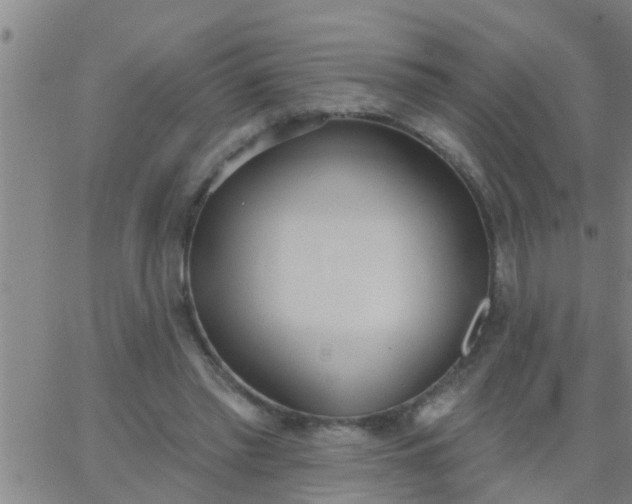 X0000062840397200601272021