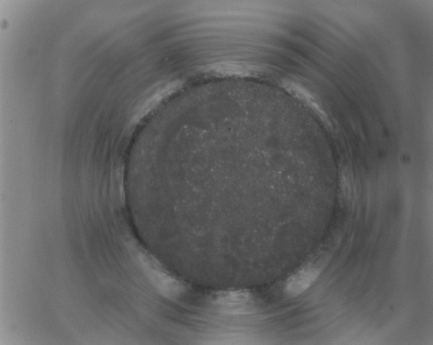 X0000062840398200601272021