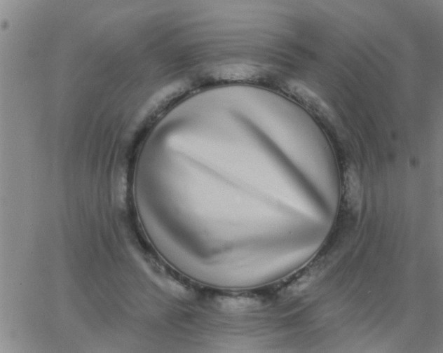 X0000062840400200601272021