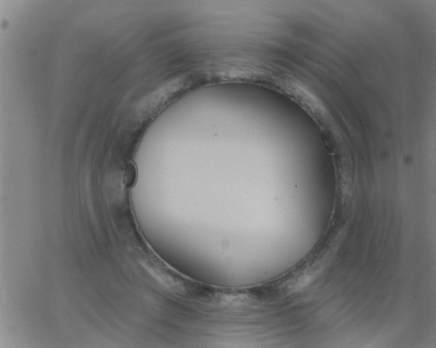 X0000062840401200601272021