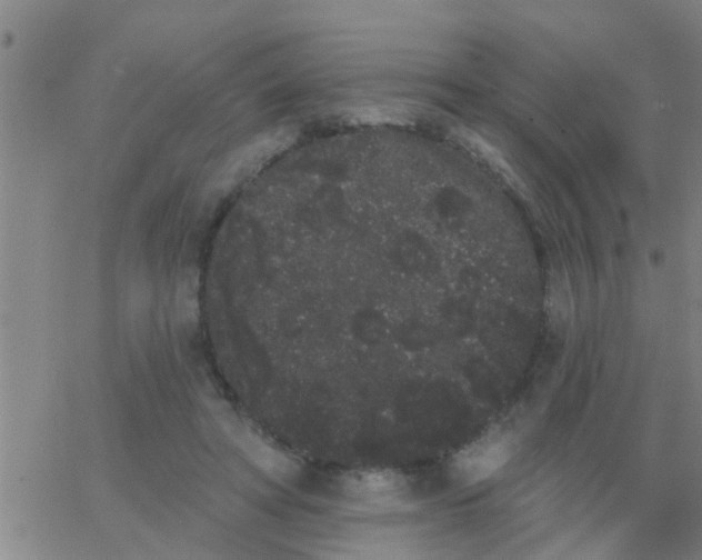 X0000062840402200601272021