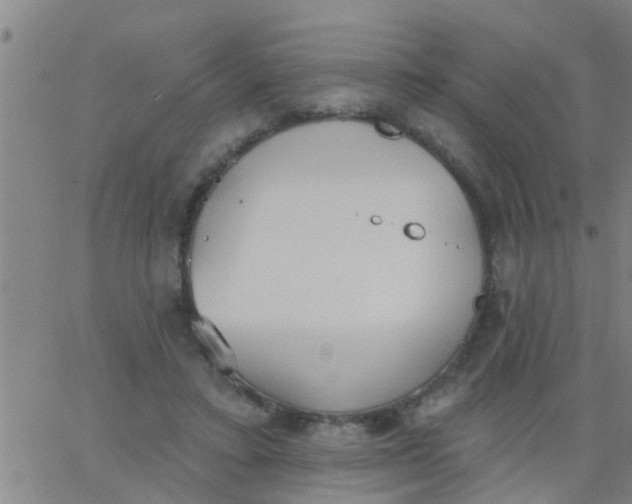 X0000062840403200601272021