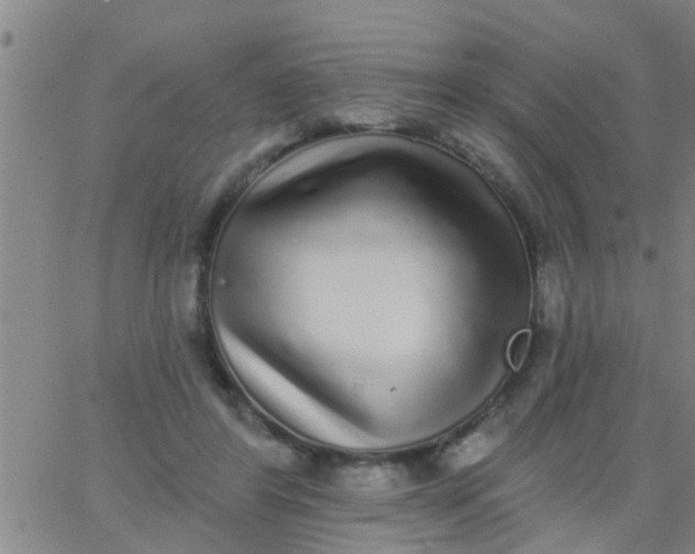 X0000062840404200601272021