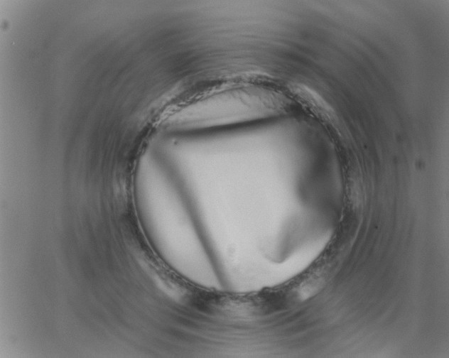 X0000062840405200601272021