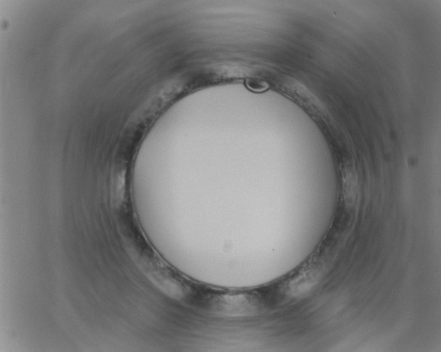 X0000062840406200601272021