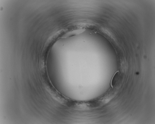 X0000062840407200601272021