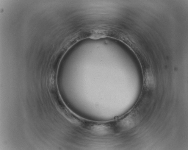 X0000062840408200601272021