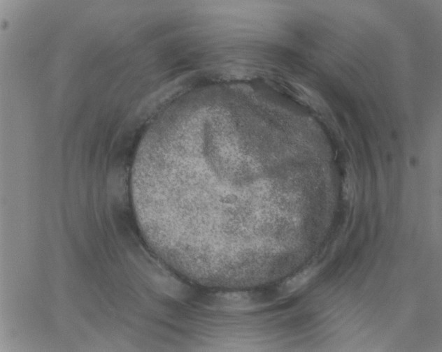 X0000062840409200601272021