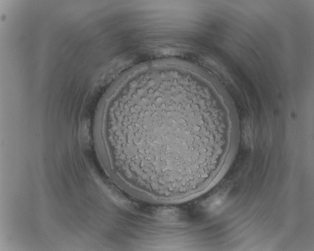 X0000062840410200601272021