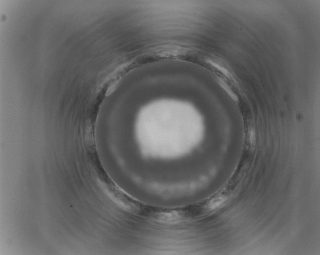 X0000062840411200601272021