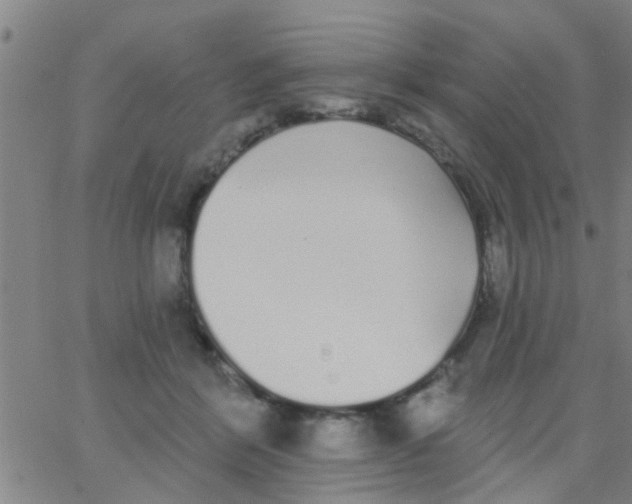 X0000062840412200601272021