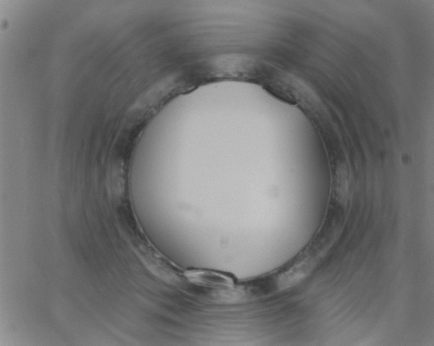 X0000062840413200601272021