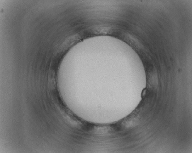 X0000062840414200601272021