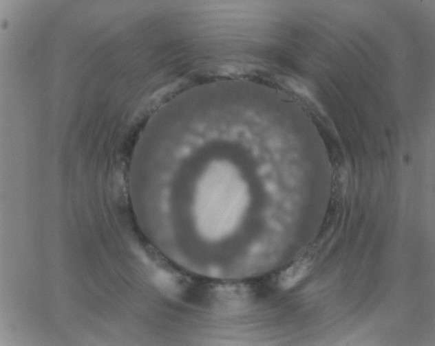 X0000062840415200601272021