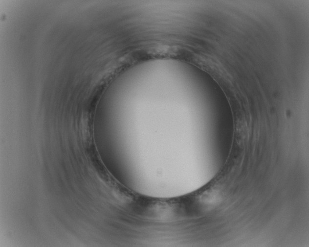 X0000062840416200601272021