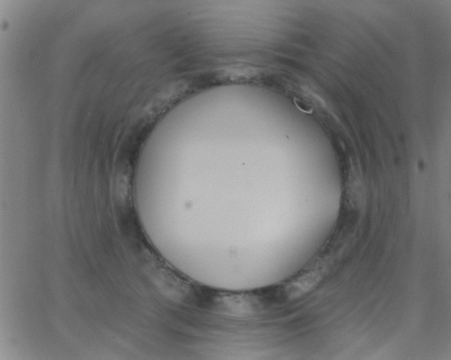 X0000062840417200601272021