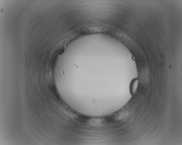 X0000062840418200601272021