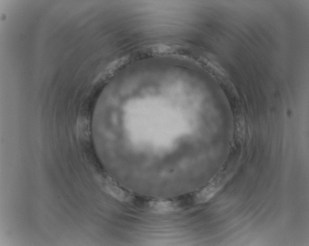 X0000062840419200601272021