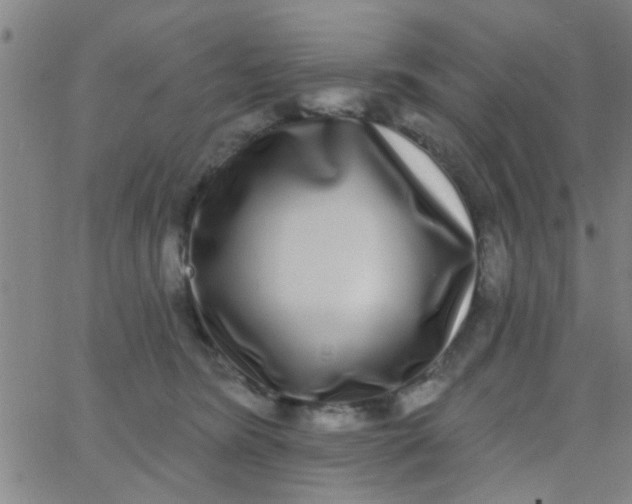 X0000062840420200601272021