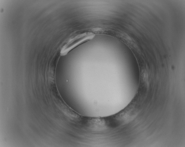 X0000062840421200601272021