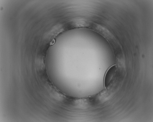 X0000062840422200601272021