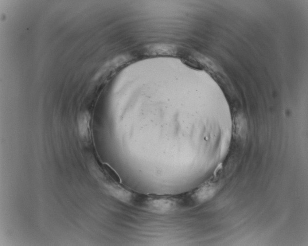 X0000062840423200601272021