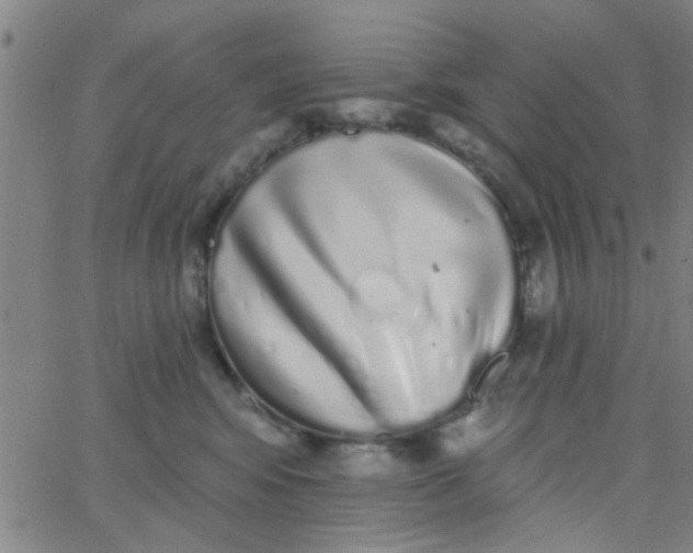 X0000062840424200601272021