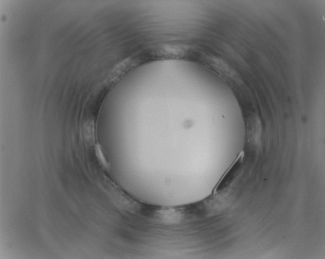 X0000062840425200601272021