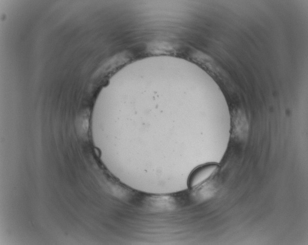 X0000062840427200601272021