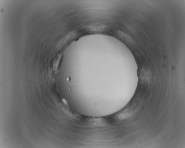 X0000062840428200601272021