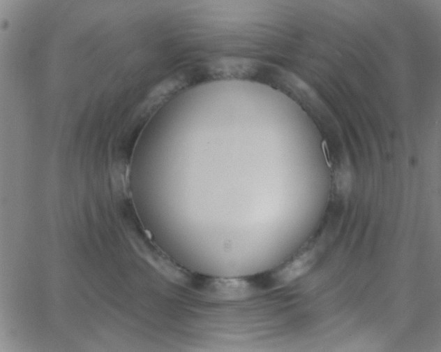 X0000062840429200601272021