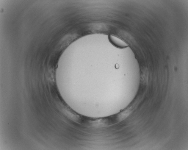 X0000062840430200601272021