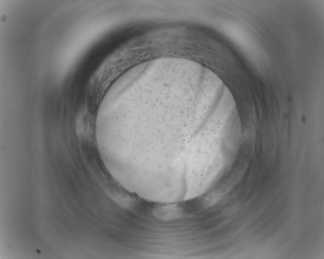 X0000062840431200601272021