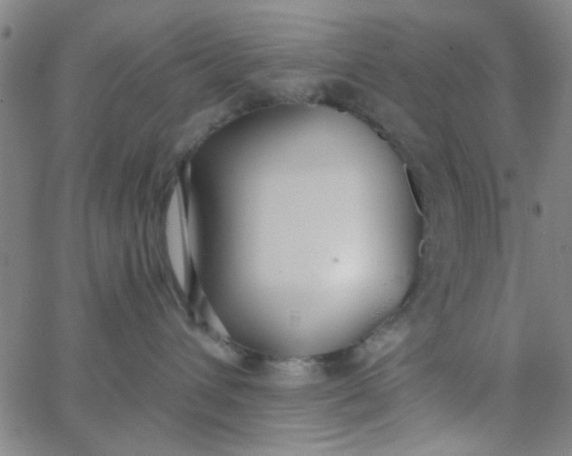 X0000062840432200601272021