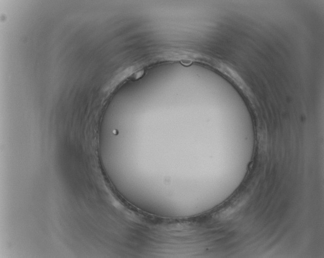 X0000062840433200601272020