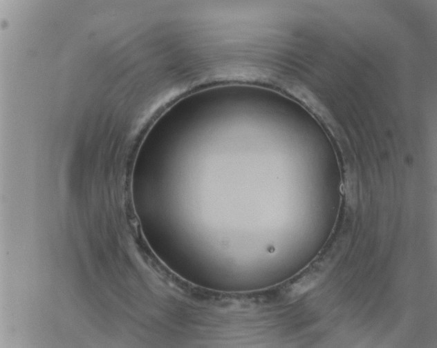 X0000062840434200601272020