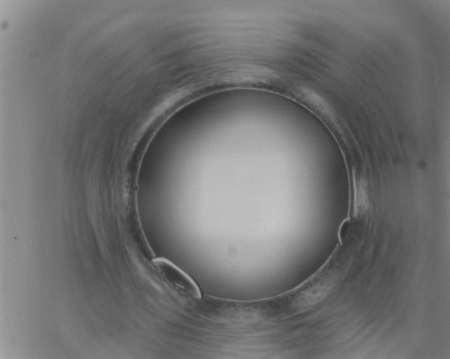 X0000062840435200601272020