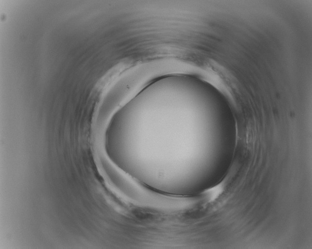 X0000062840436200601272020