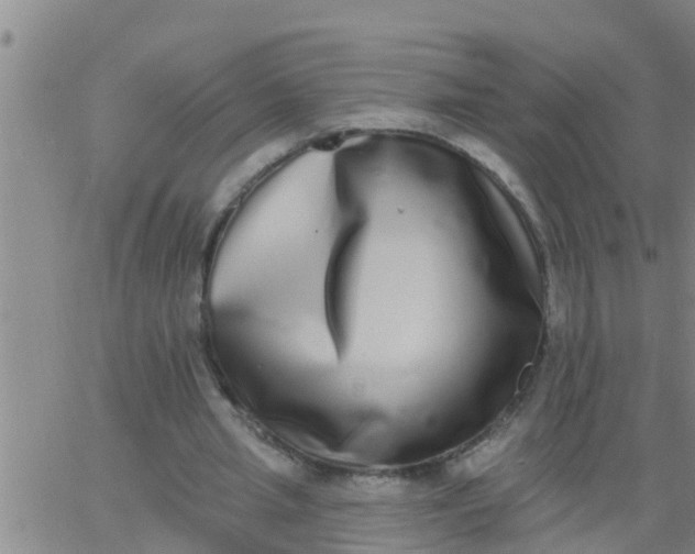 X0000062840437200601272020