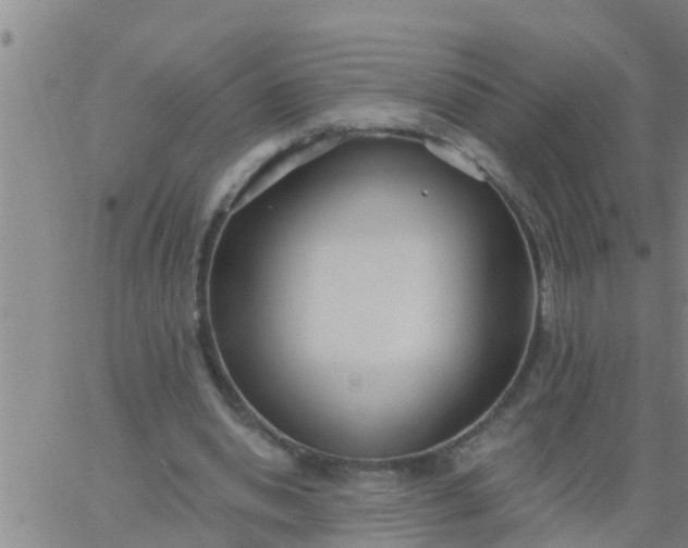 X0000062840438200601272020