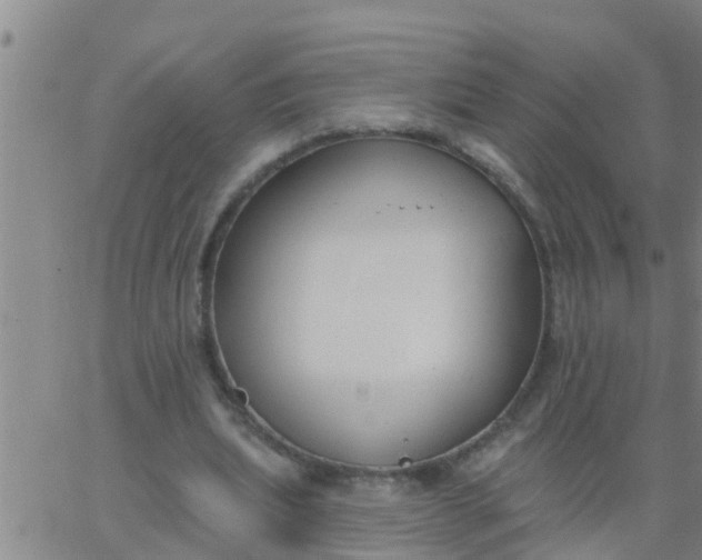 X0000062840439200601272020