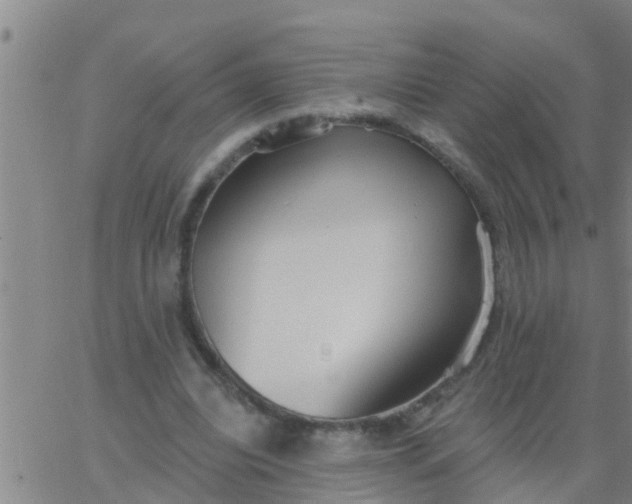 X0000062840440200601272020