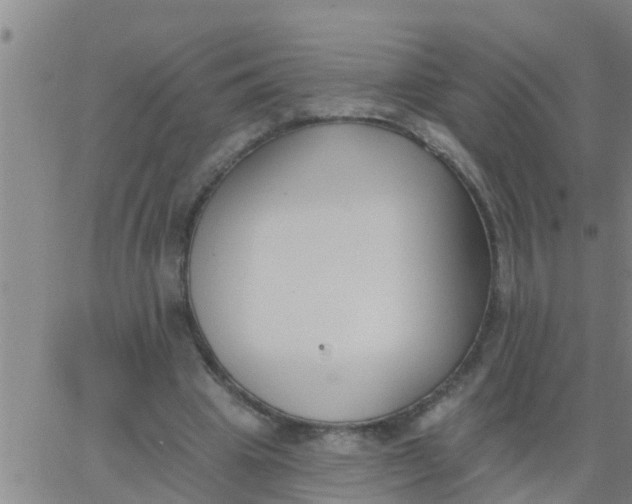 X0000062840441200601272020